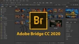 Adobe Bridge BR2023 永久免费 特别版-半文绿软