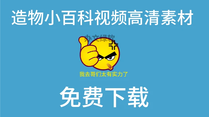 图片[1]-《造物小百科》高清视频素材免费下载-半文绿软