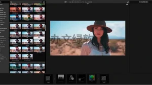 红巨星调色套装AE/PR/达芬奇插件 Magic Bullet Suite 2025.0.0 中/英文版 Win-半文绿软