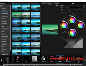 中文版红巨星降噪磨皮调色套装插件Magic Bullet Suite 2024.0.0 Win-半文绿软