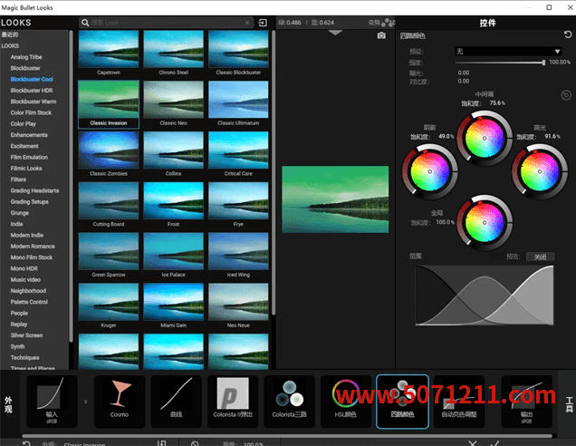 中文版红巨星降噪磨皮调色套装插件Magic Bullet Suite 2024.0.0 Win-半文绿软