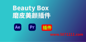 Beauty Box 美颜插件:AE & PR 一站式美颜解决方案,让视频中的每一帧都完美无瑕!-半文绿软
