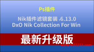 Nik插件滤镜套装DxO Nik Collection For Win V6.13.0中文PS安装软件包LRC-半文绿软