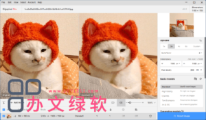 Topaz Gigapixel AI v8.1.1 智能无损放大软件 免费特别版-半文绿软