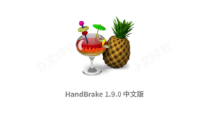 HandBrake (视频转码器) V1.9.0 多功能开源视频转换与压缩工具-半文绿软
