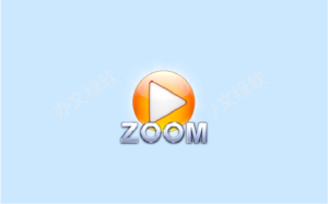 超强多功能 Zoom Player MAX 21.0 Beta 1 媒体专业播放器-半文绿软