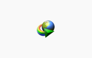 多线程下载利器 Internet Download Manager 6.42 Build 26-半文绿软