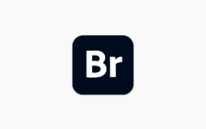 Adobe Bridge Br2025 (15.0.3 525) 一键安装正式版-半文绿软