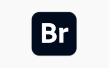 Adobe Bridge Br2025 (15.1.0.635) 一键安装特别版-半文绿软
