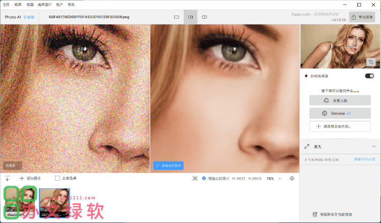 图片[1]-中文汉化Topaz Photo AI 4.1 智能图像降噪放大与修复工具-半文绿软